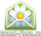 Логотип компании Доставка цветов Гранд Флора (ф-л г.Снежинск)